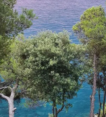 Villa Cokkinis With Garden Overlooking The Sea