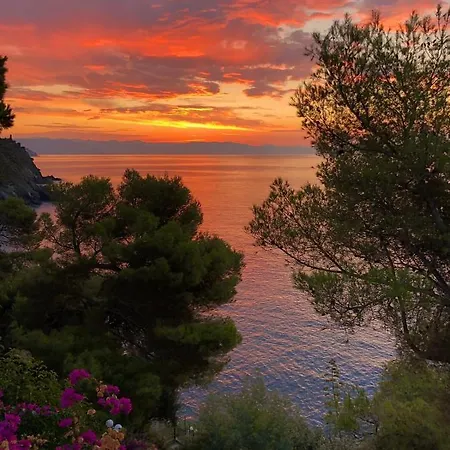 Cokkinis Fronte Mare Con Ampio Giardino * Varazze