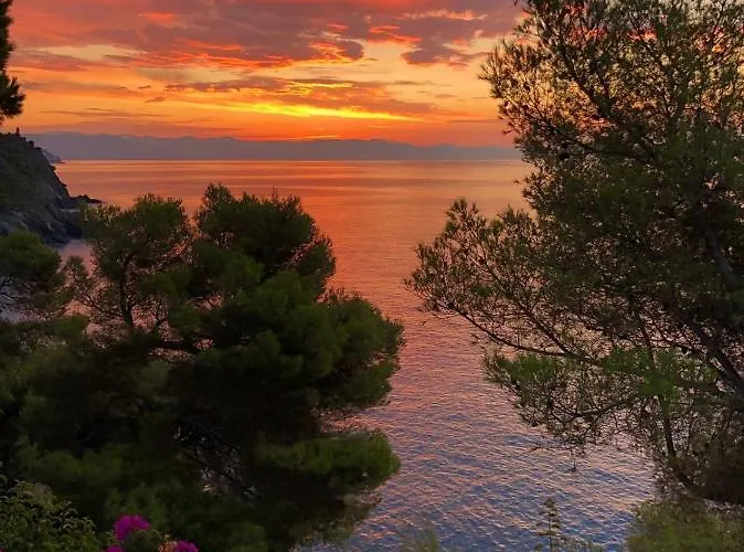 Cokkinis Fronte Mare Con Ampio Giardino * Varazze
