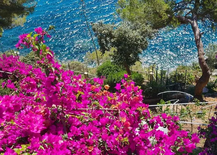 Cokkinis Fronte Mare Con Ampio Giardino