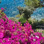 Cokkinis Fronte Mare Con Ampio Giardino