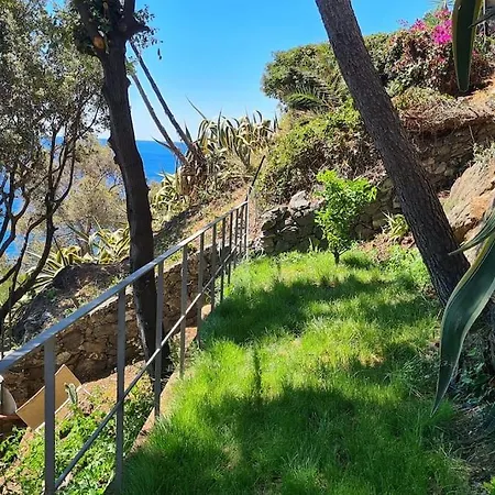 Cokkinis Fronte Mare Con Ampio Giardino Villa *