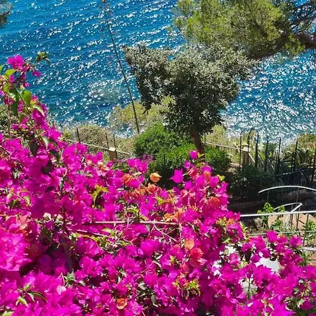 Cokkinis Fronte Mare Con Ampio Giardino